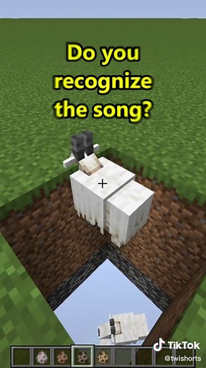 Do You Recognize The Song in Minecraft?