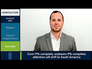 Corn, Soybean and Wheat futures rebound after weak overnight trade. 9/23/25