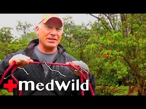 Knots and Rope: An Introduction