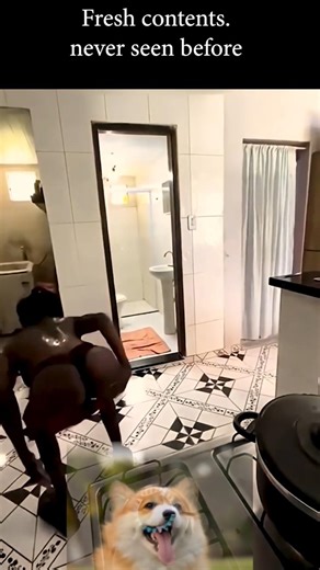 funny fails #funny #lol