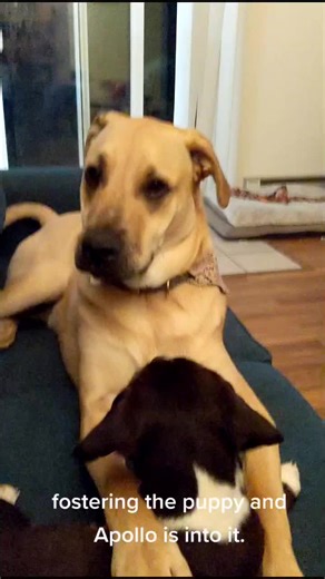 Emily Brand (@emsilyb)’s videos with BestFriend - ThemBrothers