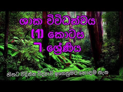 ශාක විවිධත්වය | shaka vividathwaya | 7 vidyawa | 7 wasara