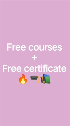 Certificate Free Ho Sakta Hai But Value Real Hoti Hai | Skills vs Certificate. @triggeredinsaan