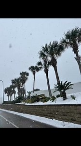 Gulf Coast Blizzard 2025 Recap! | Gulf Coast Update