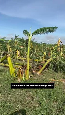 CNN's Patrick Oppmann surveys damage from Hurricane Melissa after it hit Cuba as a Category 3 storm