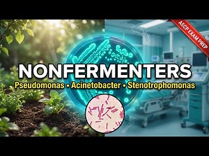 Nonfermenter Bacteria Guide: ASCP MLS Study Guide | Pseudomonas aeruginosa & Acinetobacter