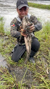 3.1M views · 24K reactions | Camouflage snake head fish | Ran Olivares | Facebook