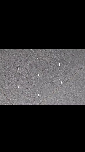 10K views · 143 reactions | 3x2 Dots simple muggulu design  Small...