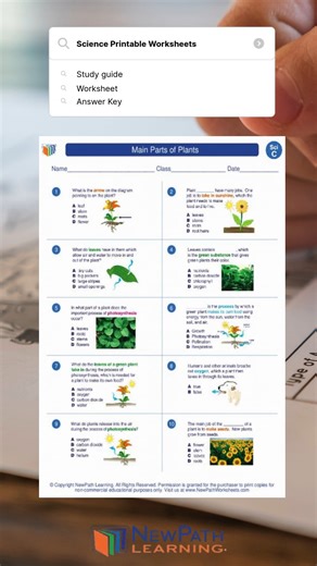 𝟑𝐫𝐝 𝐆𝐫𝐚𝐝𝐞 𝐒𝐜𝐢𝐞𝐧𝐜𝐞 𝐌𝐚𝐝𝐞 𝐅𝐮𝐧 & 𝐄𝐚𝐬𝐲! Looking for engaging science worksheets and study guides for your Grade 3 learner? Discover printable resources that cover all the major Third Grade Science topics – from Earth & Space to Plants & Animals, Matter, Forces & Energy, and Ecosystems! Perfect for classroom learning, homework help, and extra practice. ✔️ These science worksheets include: ✔️ Earth’s materials, weather, and natural resources ✔️ Motion, sound, and energy explor