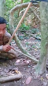178K views · 975 reactions | Trap in forest #trap #survival #outdoors #forest #skills #camping #tips #challenge #trap #skills #reels #hunting #alamliar #fores #nature #wildlife #photography #ontario #trav | Creative 1M | Facebook
