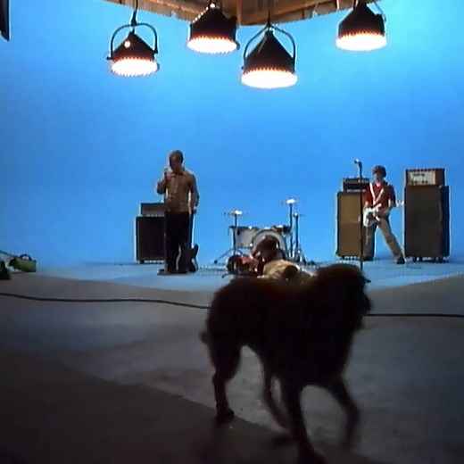 The Blue Album 30th Anniversary Edition arrives November 1st & we pulled out all the stops! Pre-order now to get unreleased tracks, live recordings, the exclusive Weezine & more. | Weezer