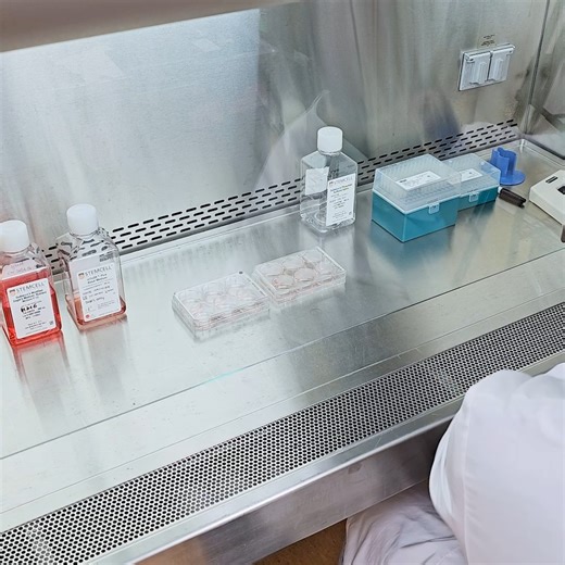 If only experiments actually worked this quickly... ⏩ | STEMCELL Technologies