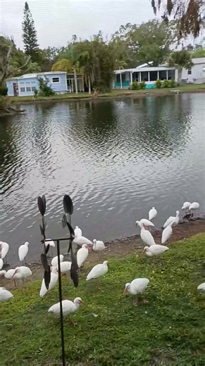 Daniel W Baldwin on Reels