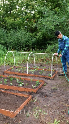 Two Easy Garden Hacks that Really Work🌿