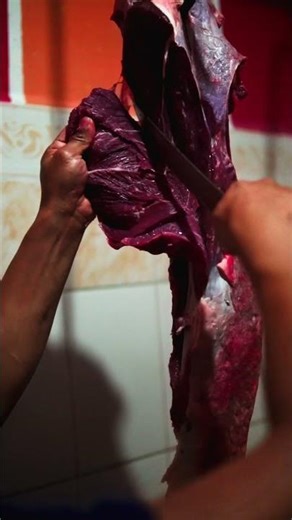Video agroindustrial | Procesos que generan confianza
