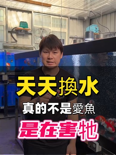 新手養金魚的水管理技巧