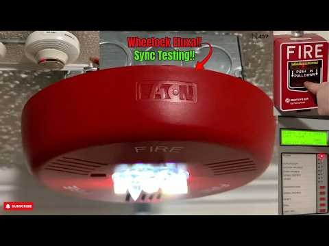 Notifier NFS2-640 s6 Fire Alarm System Test 5 | #firealarmtesting
