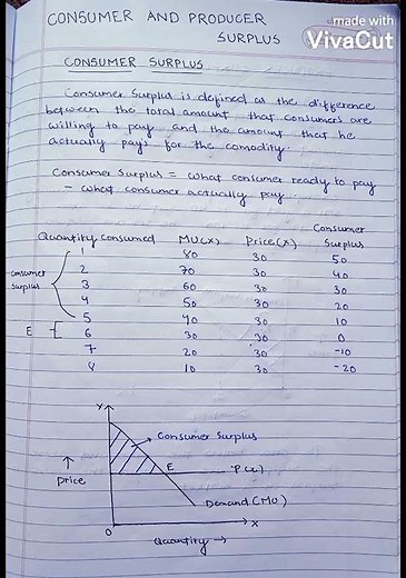 Consumer and Producer surplus (notes).
