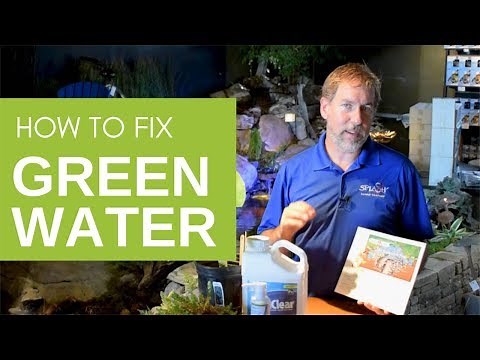 How to Get Rid of Green Pond Water