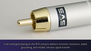 SVS SoundPath 1M RCA SoundPath Audio Interconnect