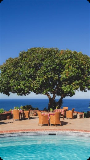 The Mango Tree Restaurant on Instagram: "What are your dinner plans today? Join us for sunset cocktails and let the evening take its course. #mangotreerestaurant #bestsaintluciarestaurants #stonefieldvillaresort #saintluciaresorts #saintlucia #saintluciarestaurants #womanownedbusiness"