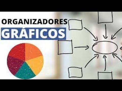 ¿Qué tipos de organizadores gráficos existen?