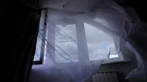 Strong Fresh Wind Suddenly Bursts Into Stock Footage Video (100% Royalty-free) 8272174 | Shutterstock