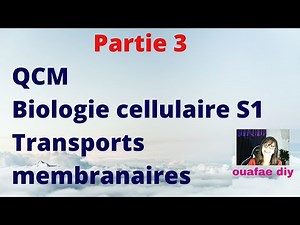 Multiple Choice Questions on Membrane Transport