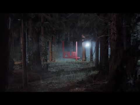 Film4 - Forest Night Ident 2014
