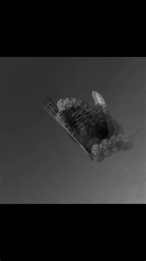 Achieving Flow State in Skiing with Nicola Bolinger