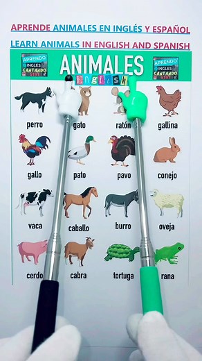 1.3M views · 12K reactions | “Aprende Inglés con Animales: Nombres, Pronunciaciones y Datos Curiosos” | Aprendo Ingles Cantando | Facebook