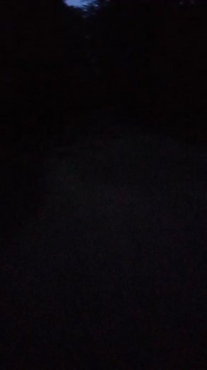 tinalouise on TikTok