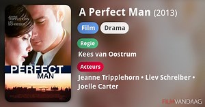 A Perfect Man (2013)