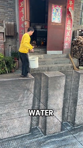 Dog Scared Of Street Drawing