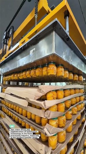 the sophistication of automation technology in the food processing industry