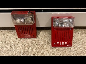 The One that Started It All | Simplex 4903-9220 Fire Alarm Horn/Strobe
