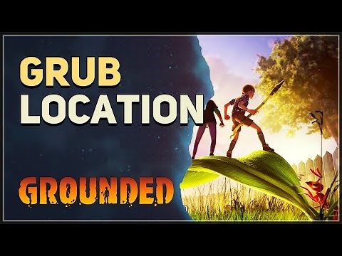 Grub Location Grounded