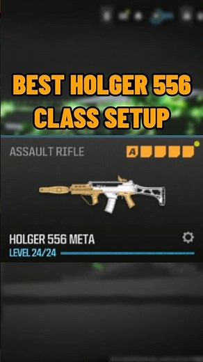 new BROKEN HOLGER 556 CLASS SETUP in MW3!