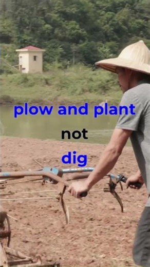 Things Other Bibles Miss - 274. Plow and Plant - Luke 16:3 - #todaysbible