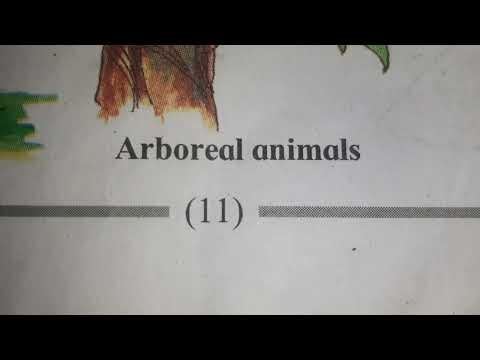 2. The Inter-relationships between Living Things