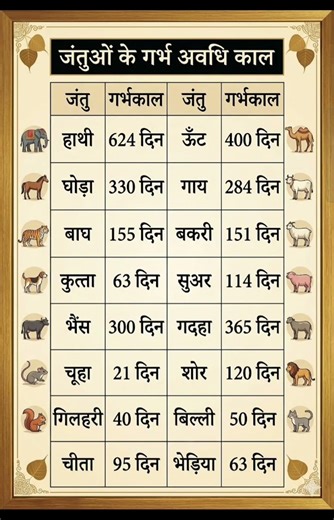 जंतुओं के गर्भ अवधि काल||gestation period of animals||#gk #ssc #railway #upsc #science #shorts