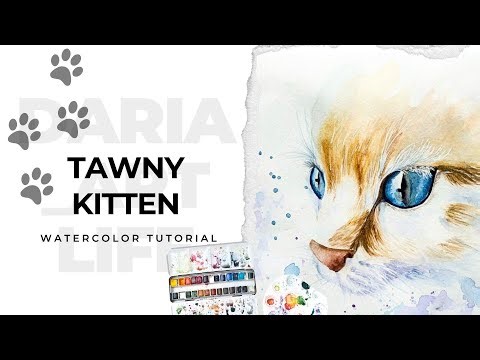 Watercolor kitty in three-quarter view: head proportions, lively eyes, soft fur.