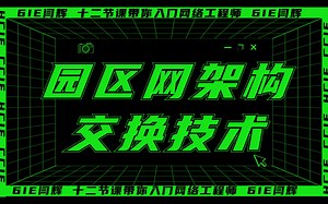 12天光速入门网络工程师 第三节：园区网基础架构与VLAN
