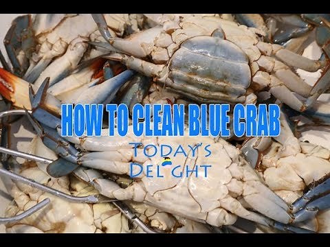 How to Clean Blue Crab before Cooking - Today's Delight