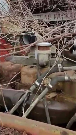 VINTAGE MACK. WHAT YEAR?