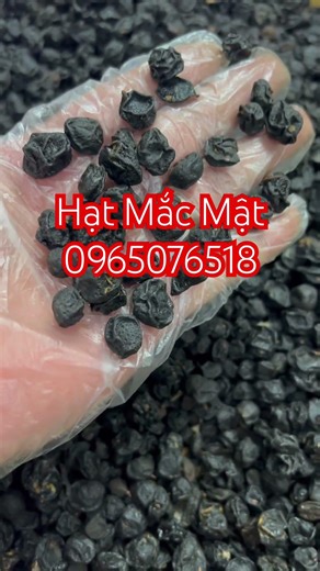 Where to buy macadamia nuts, how much do macadamia nuts cost, where to buy macadamia nuts, macada...