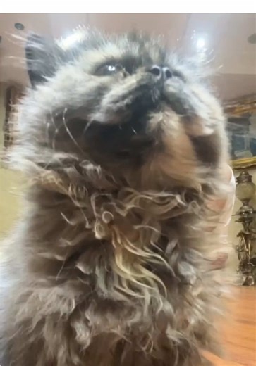 Some people talk about their problems. I train through them. Pain out. Strength in. This is my therapy.#fitness #workout #motivation #gym #fyp