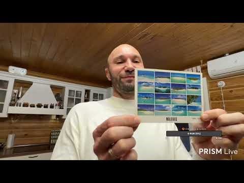 Прямая трансляция I_am_puma