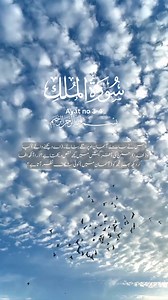 Surah Al-Mulk Ayat 3-4 #QuranTranslationUrdu #islamicreel #allahistheonlycreator #SUBHANALLAH #islam | Quran translation
