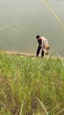 Cute Animal Gestures That Will Melt Your Heart